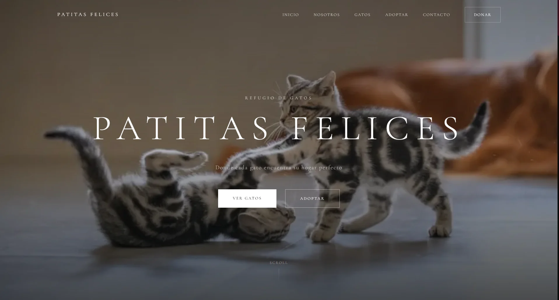 Patitas Felices